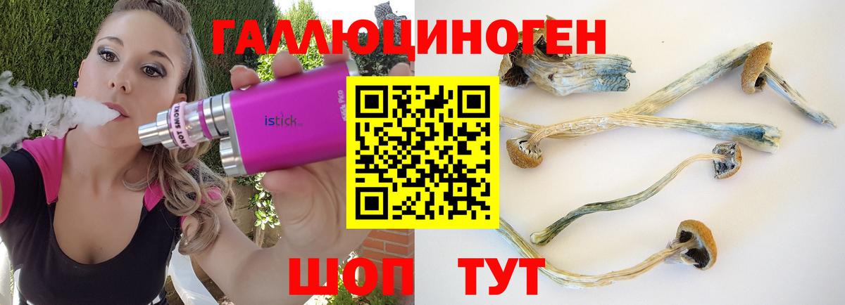 Бердск  Псилоцибиновые грибы GOLDEN TEACHER  Галлюциногенные грибы мухоморы  Вход с VPN 