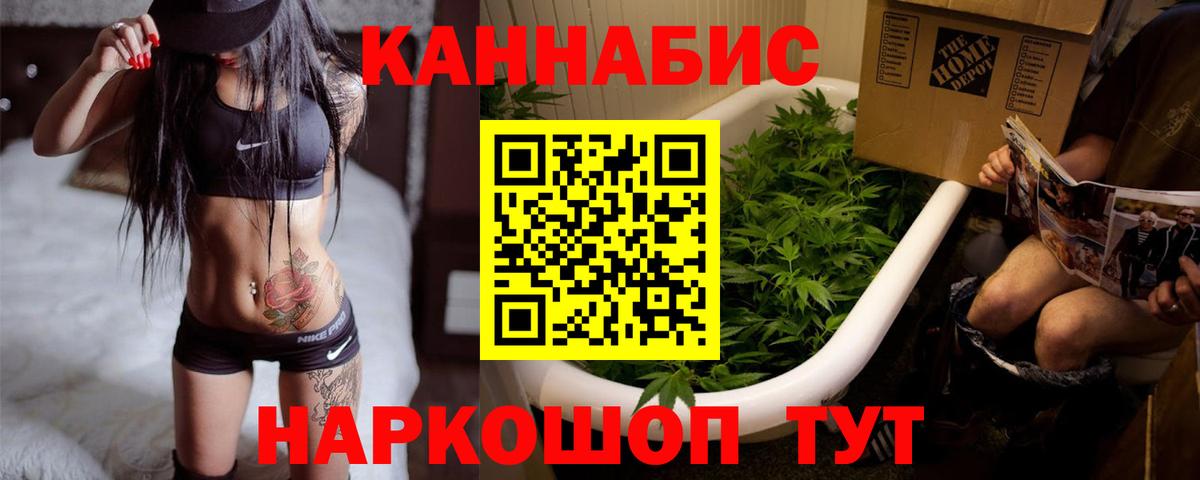 Бердск  Бошки Шишки семена  Канабис семена  Вход с VPN  Бошки марихуана марихуана 